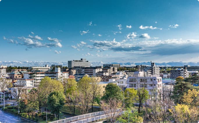 地域分野のイメージ
